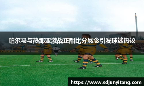 VSport-胜利因您更精彩