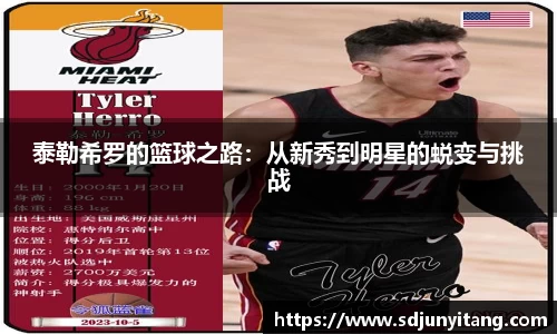 VSport-胜利因您更精彩