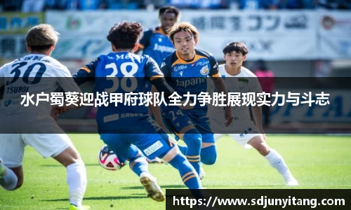 水户蜀葵迎战甲府球队全力争胜展现实力与斗志